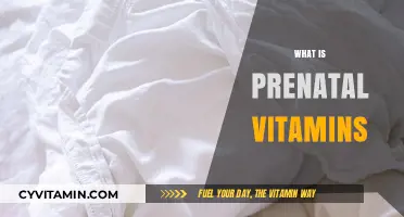 Nourishing Beginnings: The Essential Guide to Prenatal Vitamins