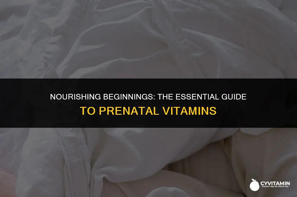 what is prenatal vitamins