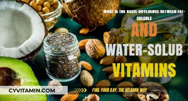 Exploring the Key Differences Between Fat-Soluble and Water-Soluble Vitamins