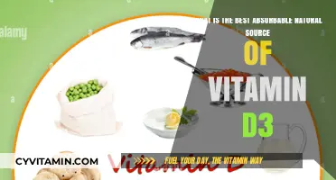 Unlocking Vitamin D3: Nature's Most Absorbable Sources Revealed