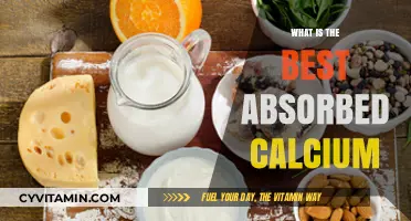 Unlocking Optimal Calcium Absorption: The Best Sources and Strategies