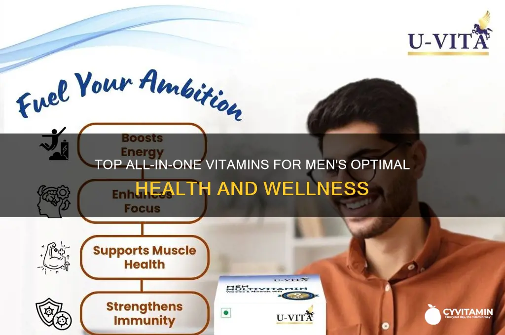 what is the best all in one vitamin for men