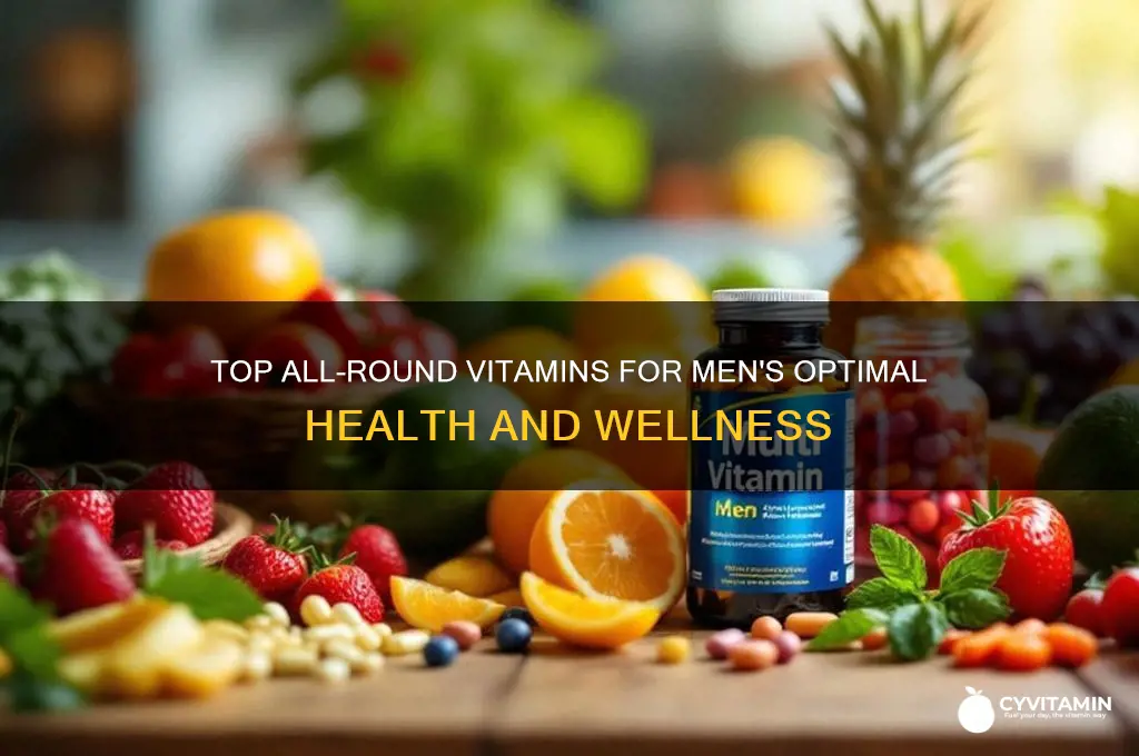 what is the best alround vitamin for men