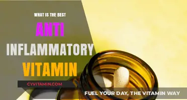 Top Anti-Inflammatory Vitamins for Optimal Health and Wellness