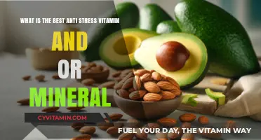 Top Anti-Stress Vitamins and Minerals for Ultimate Relaxation