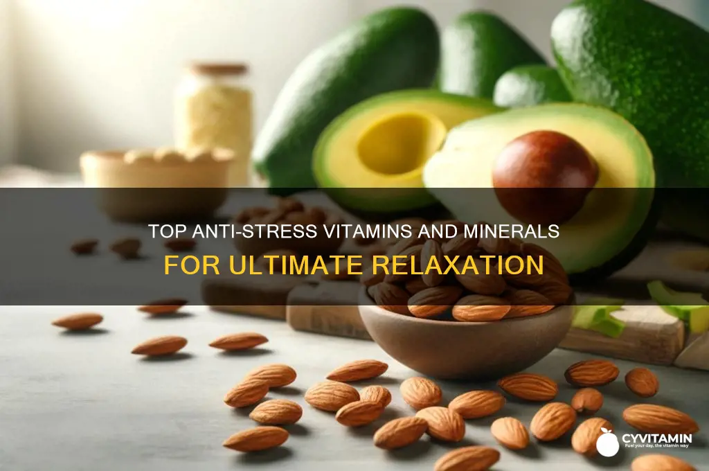 what is the best anti stress vitamin and or mineral