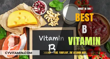 Unlocking the Power of B Vitamins: A Comprehensive Guide to the Best