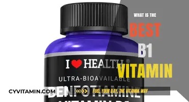 Unlocking Energy: Discover the Best B1 Vitamin for Optimal Health
