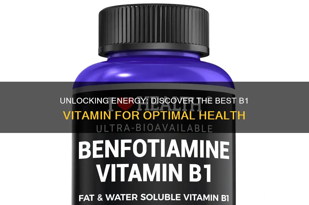what is the best b1 vitamin