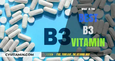 Unlocking Radiant Health: Discover the Best B3 Vitamin for You