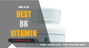 Unlocking Optimal Health: Discover the Best Vitamin B6 Supplement