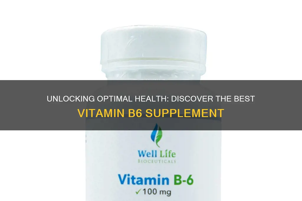 what is the best b6 vitamin