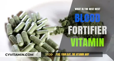Top Blood Fortifying Vitamins for Optimal Health and Vitality