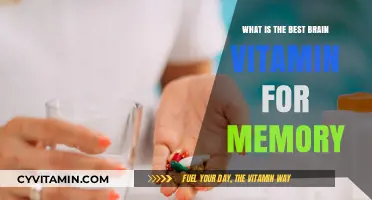 Boost Your Memory: Discover the Top Brain Vitamin for Recall