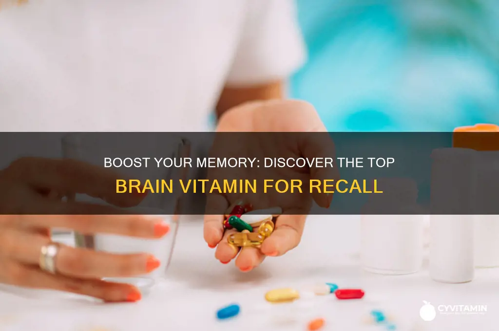 what is the best brain vitamin for memory