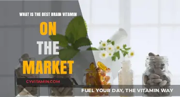 Top Brain-Boosting Vitamins: Unlocking Cognitive Potential and Mental Clarity