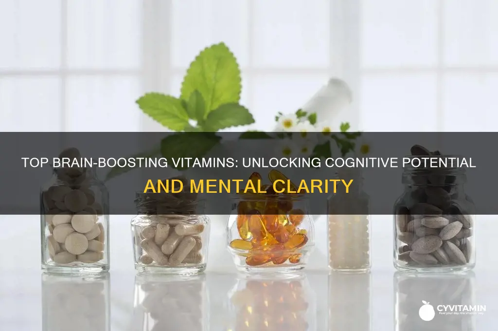 what is the best brain vitamin on the market