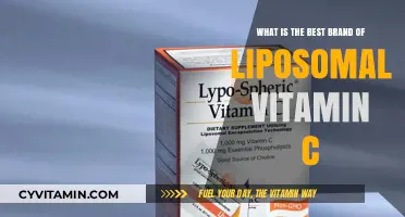 Top Liposomal Vitamin C Brands: Which One Delivers Optimal Absorption?