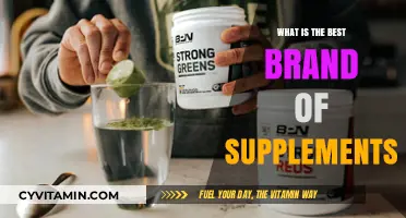 Top Supplement Brands: Unveiling the Best for Optimal Health & Wellness
