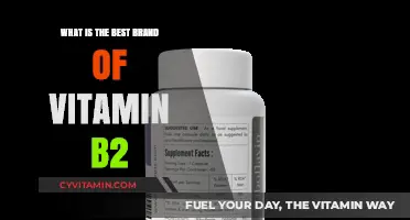 Discover the Top Vitamin B2 Brand for Optimal Health Benefits