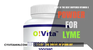Top Buffered Vitamin C Powders for Lyme Disease Support