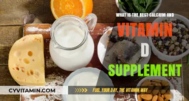 Top Calcium and Vitamin D Supplements for Optimal Bone Health