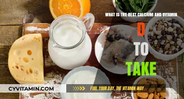 Top Calcium and Vitamin D Supplements for Optimal Bone Health