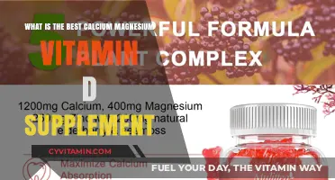 Top Calcium Magnesium Vitamin D Supplements for Optimal Bone Health