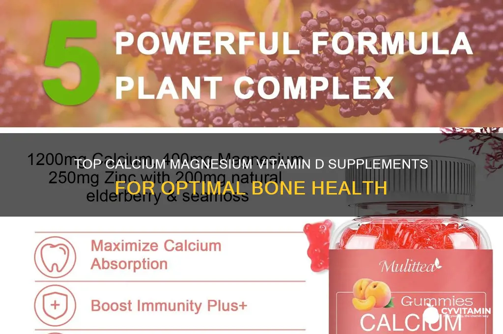 what is the best calcium magnesium vitamin d supplement