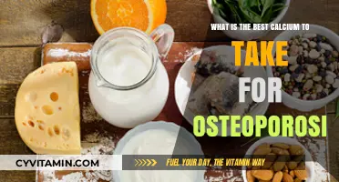 Top Calcium Supplements for Osteoporosis: Strengthen Bones Effectively