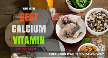 Top Calcium Supplements: Unlocking Strong Bones and Optimal Health Benefits