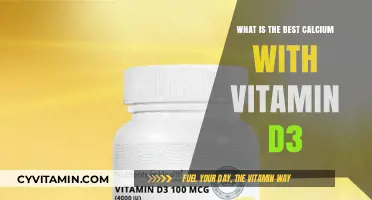 Top Calcium with Vitamin D3 Supplements for Optimal Bone Health