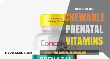 Top Chewable Prenatal Vitamins for Healthy Pregnancy and Baby Development
