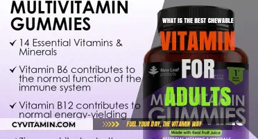Top Chewable Vitamins for Adults: Boost Health with Tasty Options