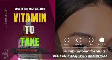 Top Collagen Vitamins: Unlocking Radiant Skin and Joint Health