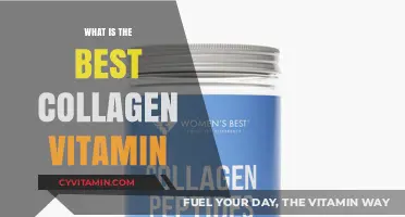 Discover the Best Collagen Vitamin for Radiant Skin and Joint Health