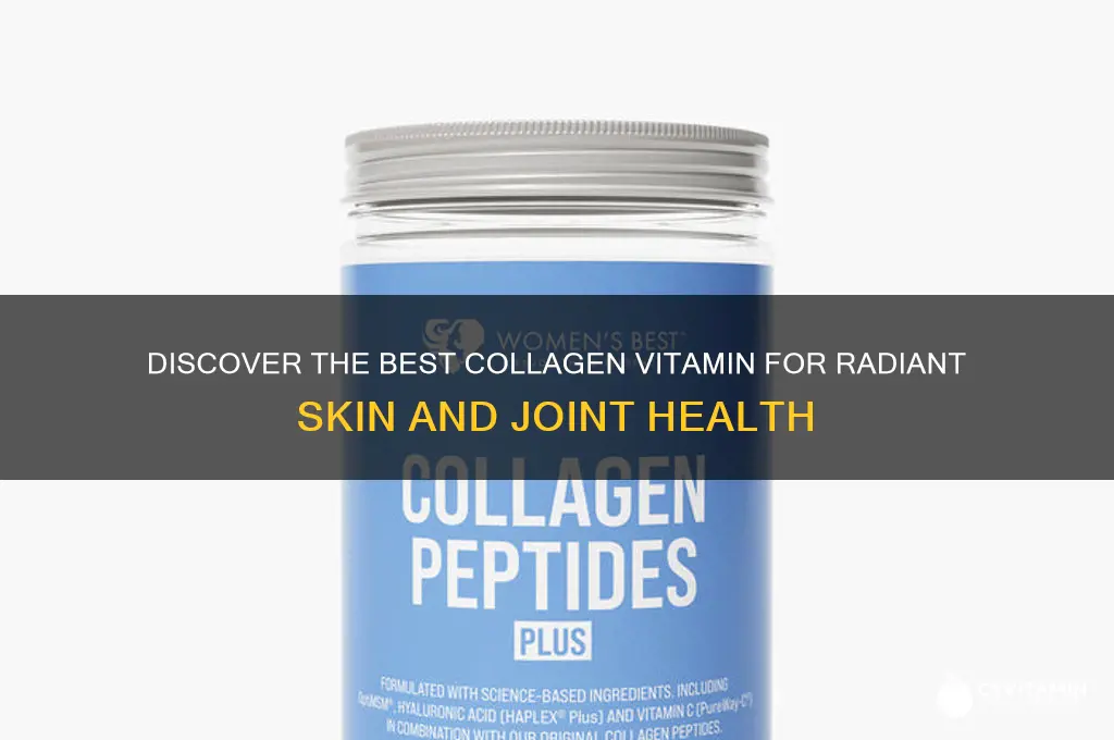 what is the best collagen vitamin