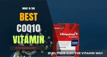 Discover the Top CoQ10 Vitamin for Optimal Health and Energy