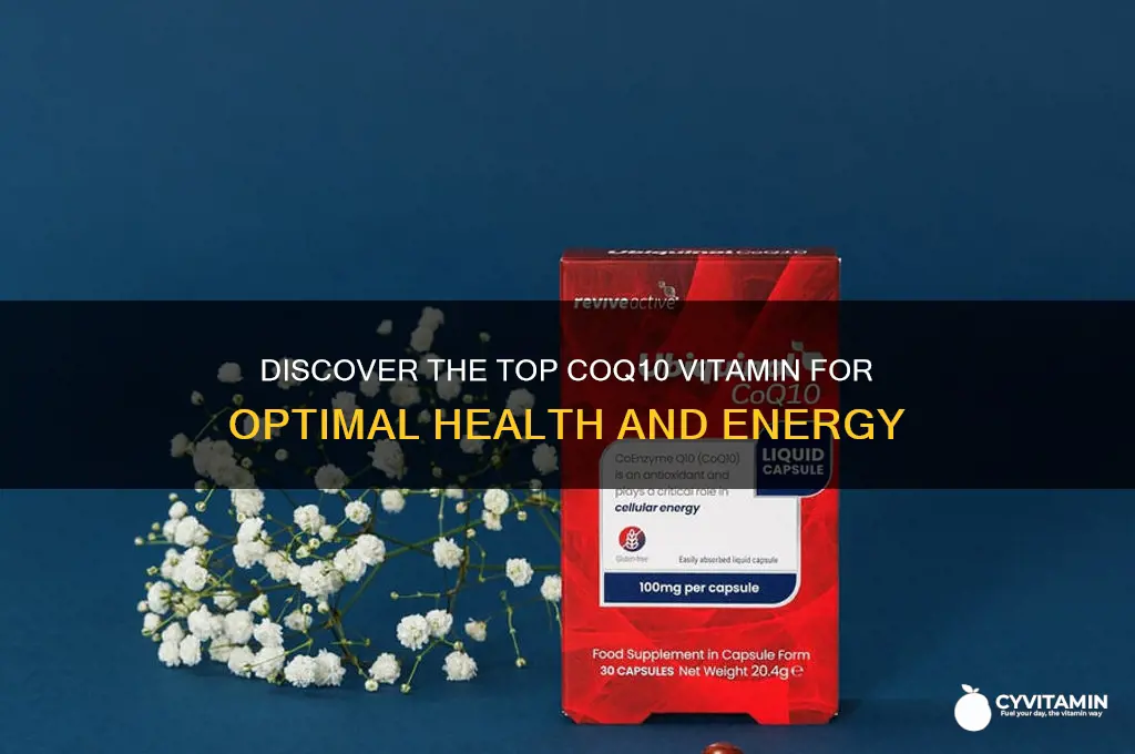what is the best coq10 vitamin