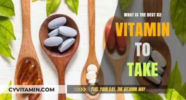 Top Vitamin D2 Supplements: Which One Should You Choose?