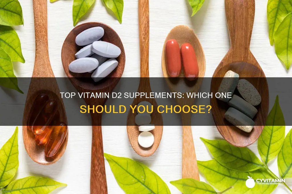 what is the best d2 vitamin to take