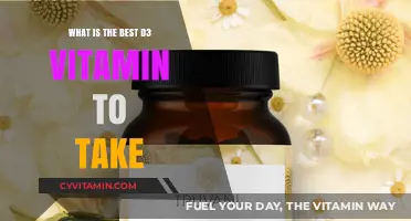 Top Vitamin D3 Supplements: Which One Should You Choose?