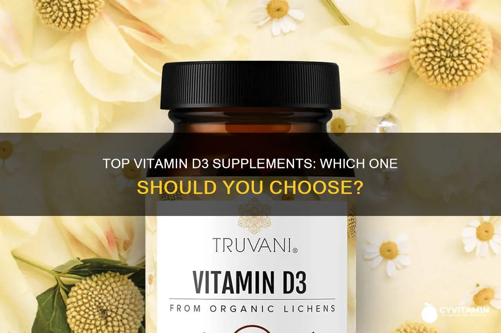 what is the best d3 vitamin to take