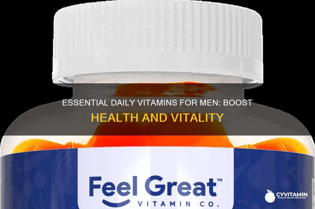 what is the best daily vitamin a man can take