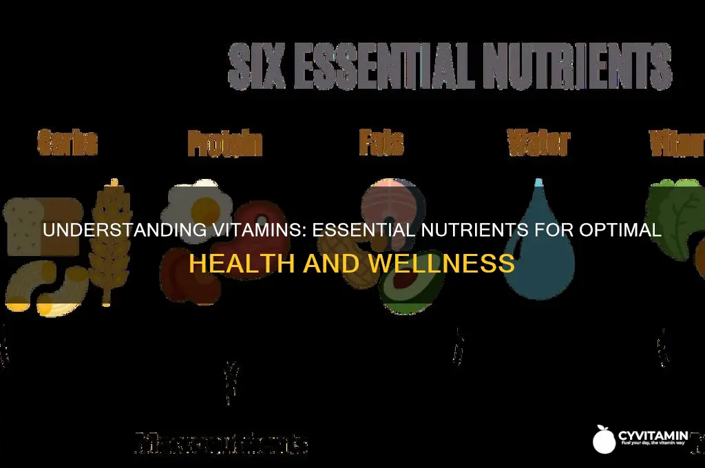 what is the best definition of vitamins
