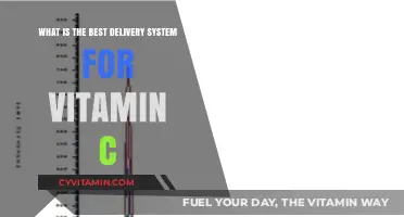 Optimal Vitamin C Delivery: Top Methods for Maximum Absorption and Benefits