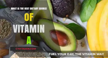 Top Dietary Sources of Vitamin A for Optimal Health