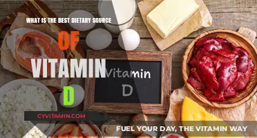 Top Vitamin D-Rich Foods to Boost Your Health Naturally