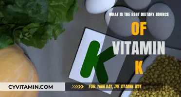 Top Vitamin K-Rich Foods for Optimal Health and Nutrition