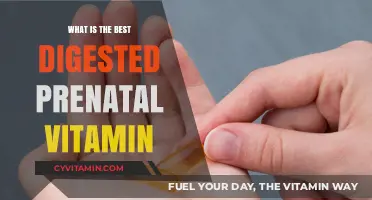 Top Prenatal Vitamins for Optimal Absorption and Digestive Comfort